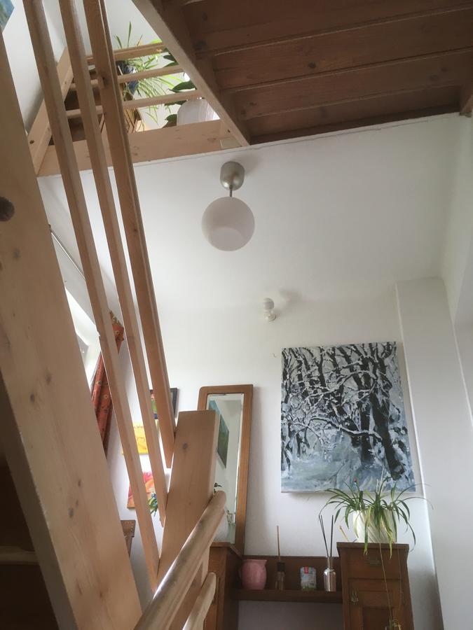 סאלפלדן אם שטיינרן מיר Atelierwohnung Jirana מראה חיצוני תמונה
